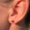Cat's Eye Red and Turquoise Resin Silver Studs - In Ear